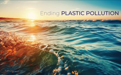 Ending-Plastic Pollution